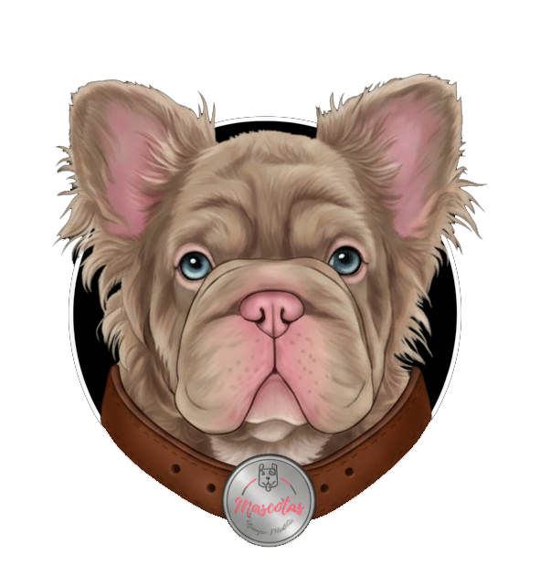 Mascotas Medellín